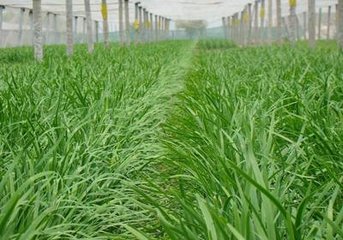 �²�ʩ��С���ɣ���Ҳ���Ó��ľ²��L����