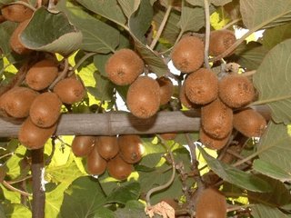 �J����ʩ�ʼ��g����