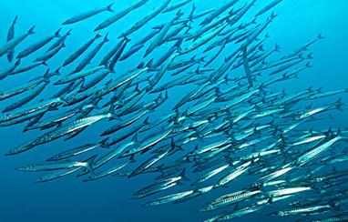 �~���׷���ʹ�÷������~���׷��ϵ�����