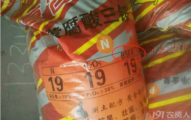 ���ϴ��ϵ���ĸ����ʲô��˼��������ͱ��ӑK��