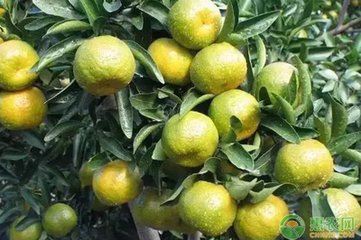 �����＾ʩ�ʵ�5���`�^��