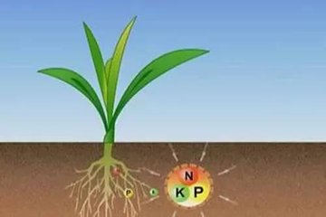 ��ΰl(f��)չ���ͷ��ϣ������˽���y(t��ng)���ϵı׶�