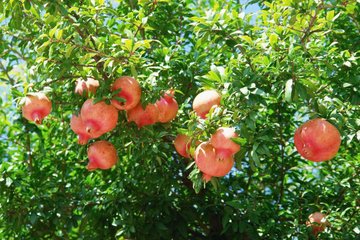 ʯ��䇊ʩ�~��ʵ�����