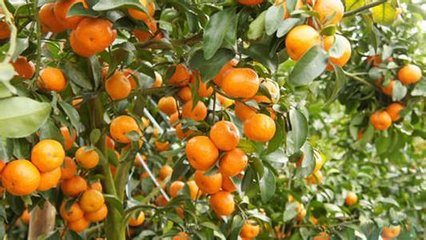 ɳ�ǽ�ʩ�ʼ���