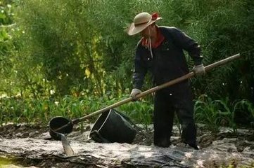 �u�S��ţ�S���i�S����S�������Ă����m�Ϯ����ϣ�