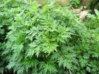 ���ݵķ��ܷ�ʽ�Ͱ��ݵ�ʩ�ʷ���