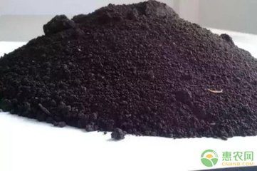 �����е��к����|����Σ����ʲô��