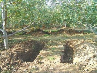 ������ʩ���ʵ��k��