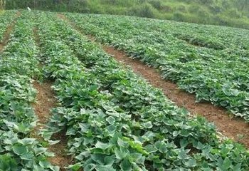 �����˿ƌW(xu��)ʩ�ʷ���