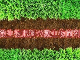 ��΢������ϡ��͡�΢�����������һ��֮��^�e��