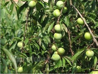 9��11���ǹ���ʩ�ʵġ��S��r������