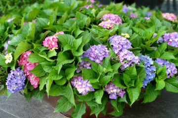 ������_�Ľo����ʩ��������ʩ������Щ����