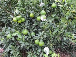 �}�ʵ���Ҫ�Է���