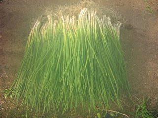 ���[�ƌW(xu��)ʩ�ʷ���