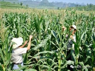 �ЙC(j��)�ʴ��仯�� δ��(l��i)ʩ�ʵĴ�څ��(sh��)