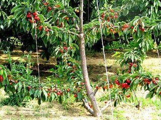 �������ȫ����ʩ��������e�ˣ�