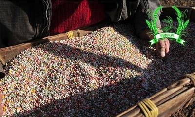 �N��ʩ�õĎ׷N����