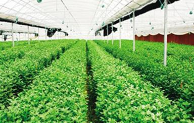 �ЙC(j��)�ʿ���ʹ���ʜp���������ЙC(j��)�ʲ��ܴ��滯��