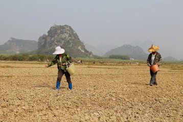 ���ʿƌWʩ�ü��g