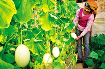 �������ʩ��Ҫ�c�����׷��Ҳ������