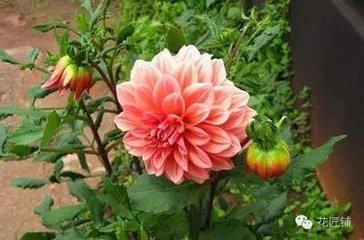 ����ʩ��С����