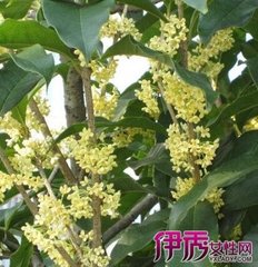 ��ʩ����Ҫע��ʲô