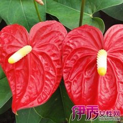 �t��ʩ��ע�����