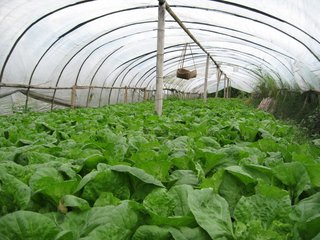 �߲�ʩ��ע�����