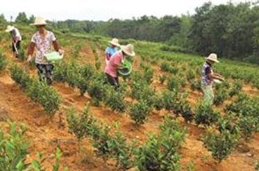 ׷�ʿ����ͣ����ǵ׷�һ��Ҫ��