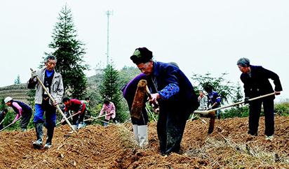 �P���Ͳ˵׷ʣ���֪�����٣��Ͳ˵׷�ʩ��Ҫ�c