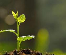 ����������⛡���Ҫ�أ������͸�ˆ�