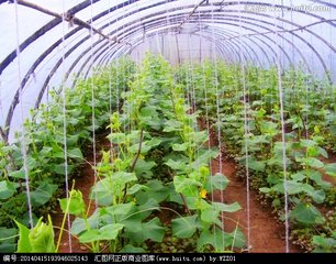 �����߲˸߮aʩ�ʼ���