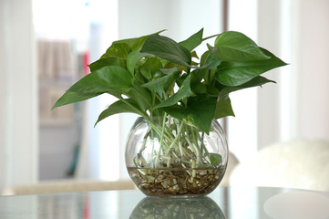 ˮ�໨��ʩ�ʷ���