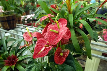 ��(ji��n)�Ό�(sh��)�õĻ���ʩ�ʷ���