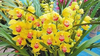 ���Ի����л�����(y��ng)ԓ��ôʩ��