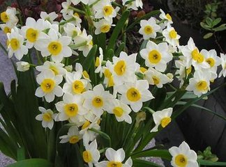 ˮ�ɻ�ʩ�ʷ���