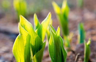 ֲ�����L�{(di��o)��(ji��)����ʹ���`�^(q��)���F(xi��n)��֪��߀����