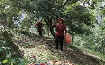 ��÷ʩ�ʼ��g(sh��)Ҫ�c���ɹ���ԓ��ôʩ�ʣ�