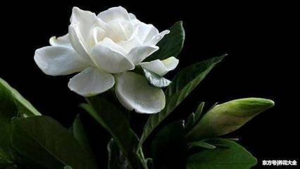 �@�־G������ʩ�ʵ�Ҫ�c