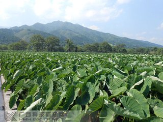 ������ʩ�ʼ��g(sh��)