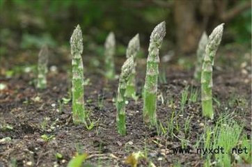 �J�Sʩ�ʼ��g