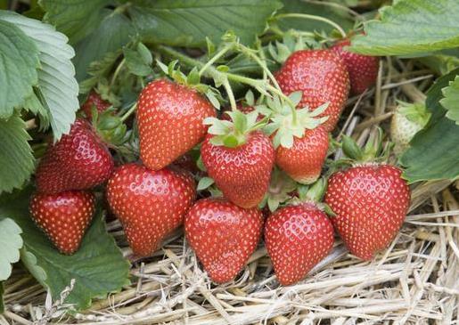 ��ݮʩ���ӷʿ����a