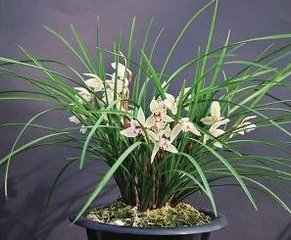 ����ʩ���м���