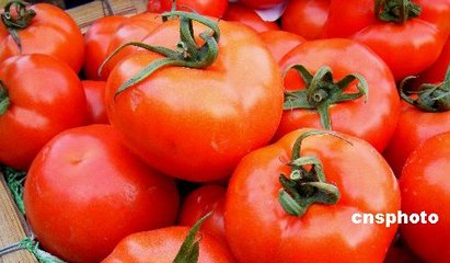 �����a�}���ʩ��