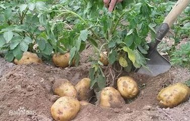 �����ڶ���ʩ����ʲô������