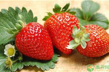 ��ݮˮ�ʹ������g