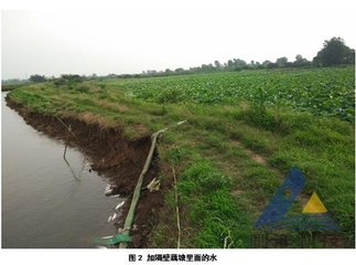 ��α��⻯���ж�