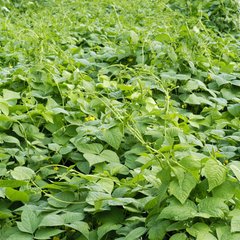 ��ˮa(ch��n)���ʺ���ԭ��