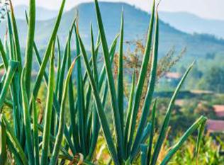 ���[ʩ�����v�����붬ǰ���[ʩ�ʼ���