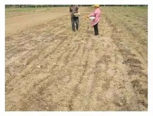 ʲô�ǉA�Է��ϣ�����������Щ���ã�